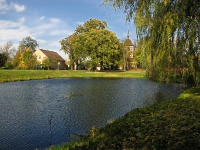 Bolzenteich Wildenau